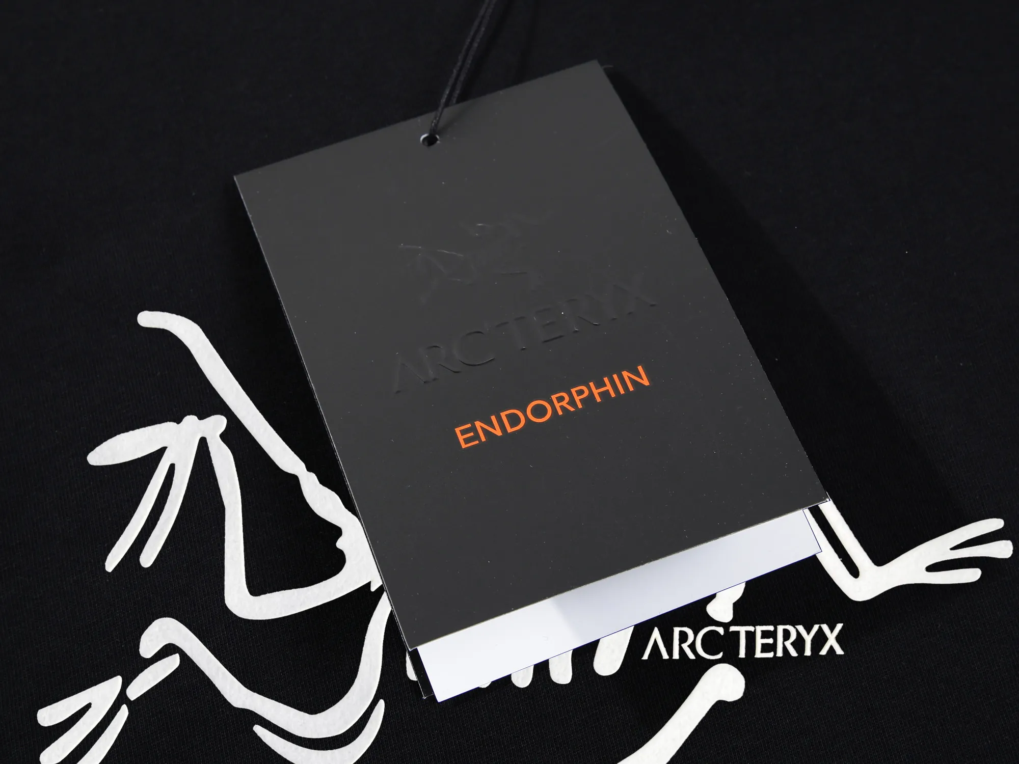 【ARCTERYX  公式旗艦店】 アークテリクス  Tシャツ ご好評に付き再入荷！250217