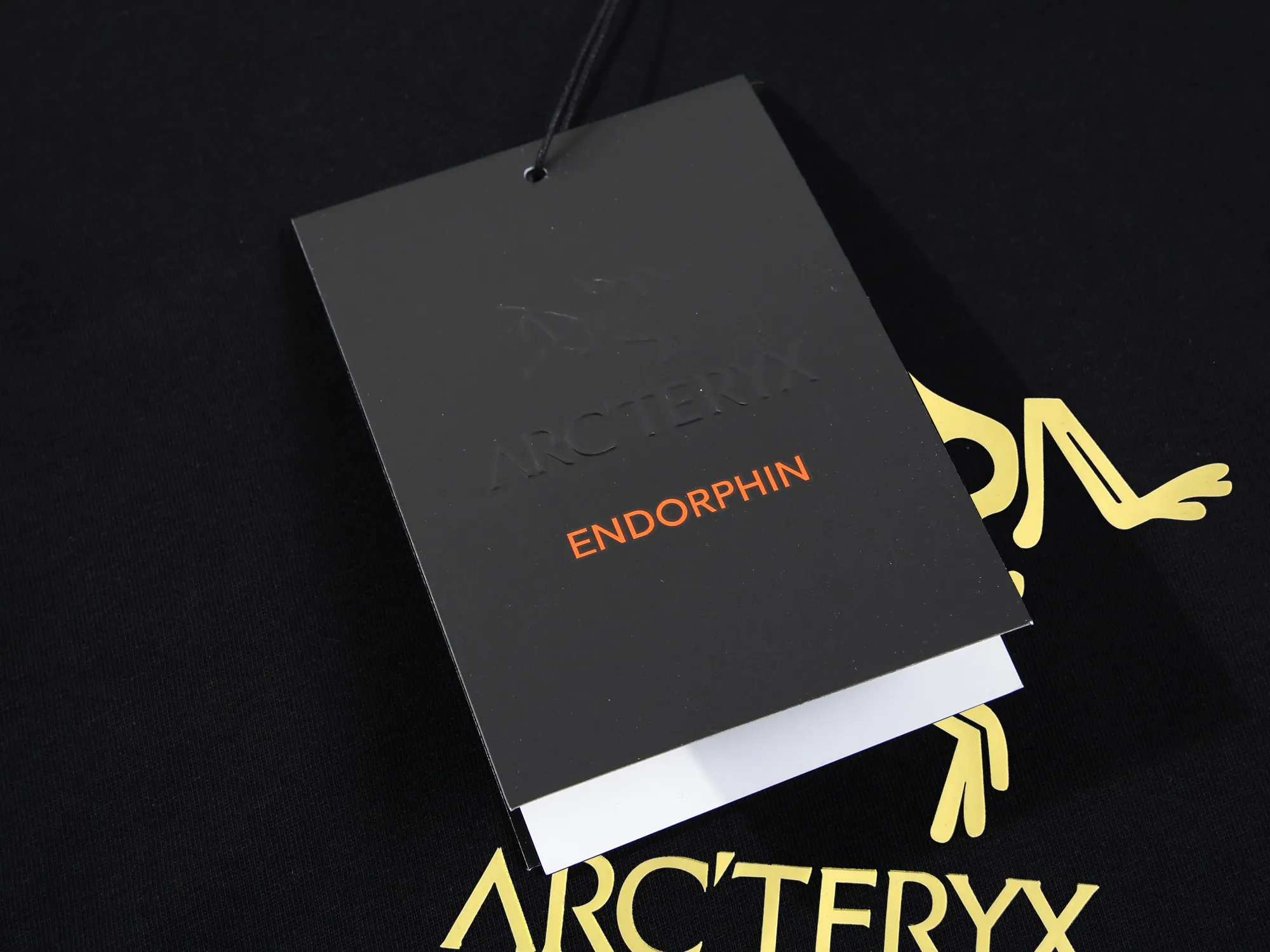 【ARCTERYX  公式旗艦店】 アークテリクス  Tシャツ ご好評に付き再入荷！250217