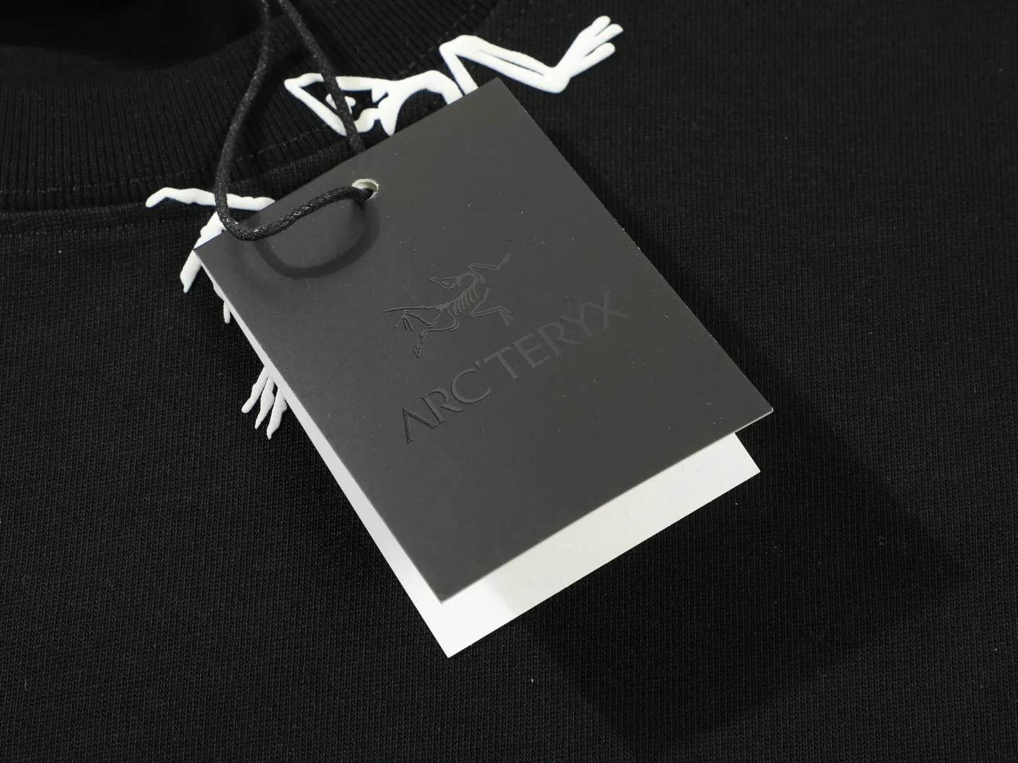 【ARCTERYX  公式旗艦店】 アークテリクス  Tシャツ ご好評に付き再入荷！250217