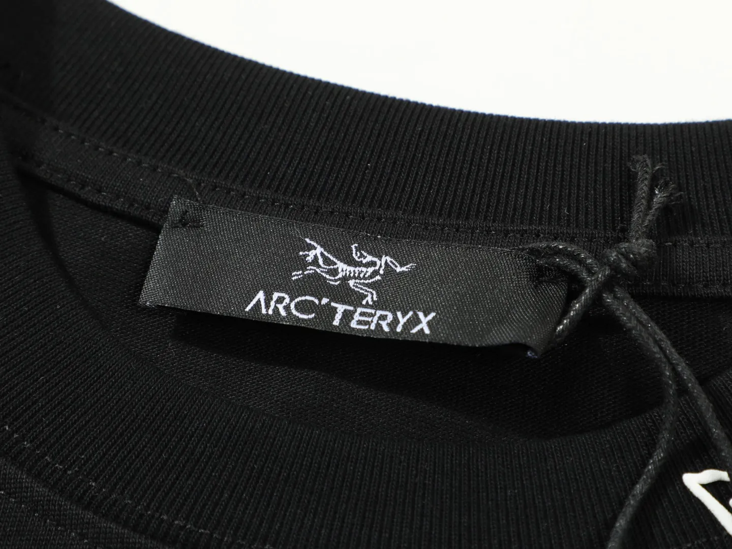 【ARCTERYX  公式旗艦店】 アークテリクス  Tシャツ ご好評に付き再入荷！250217