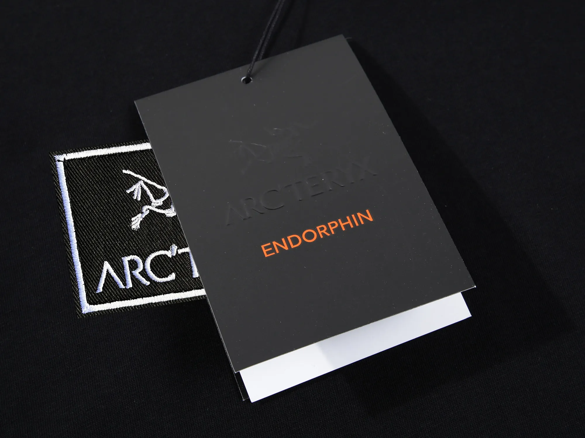 【ARCTERYX  公式旗艦店】 アークテリクス  Tシャツ ご好評に付き再入荷！250217