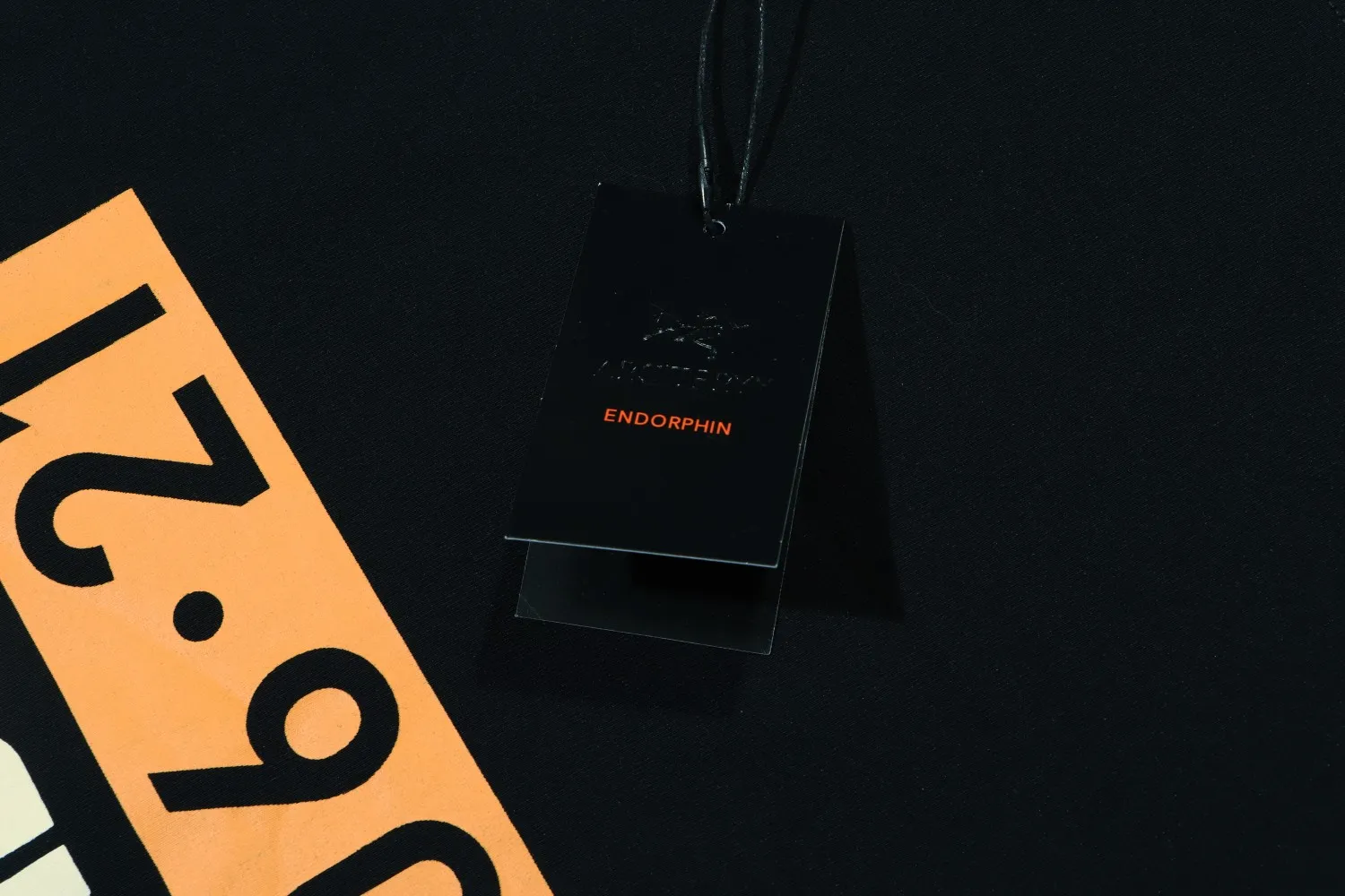 【ARCTERYX  公式旗艦店】 アークテリクス  Tシャツ ご好評に付き再入荷！250217