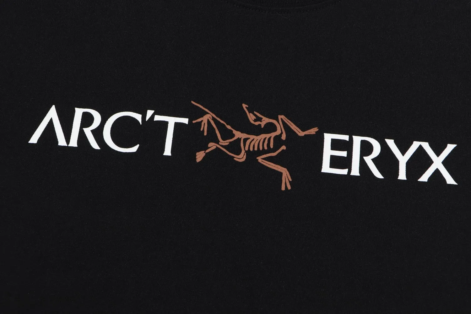 【ARCTERYX  公式旗艦店】 アークテリクス  Tシャツ ご好評に付き再入荷！250217