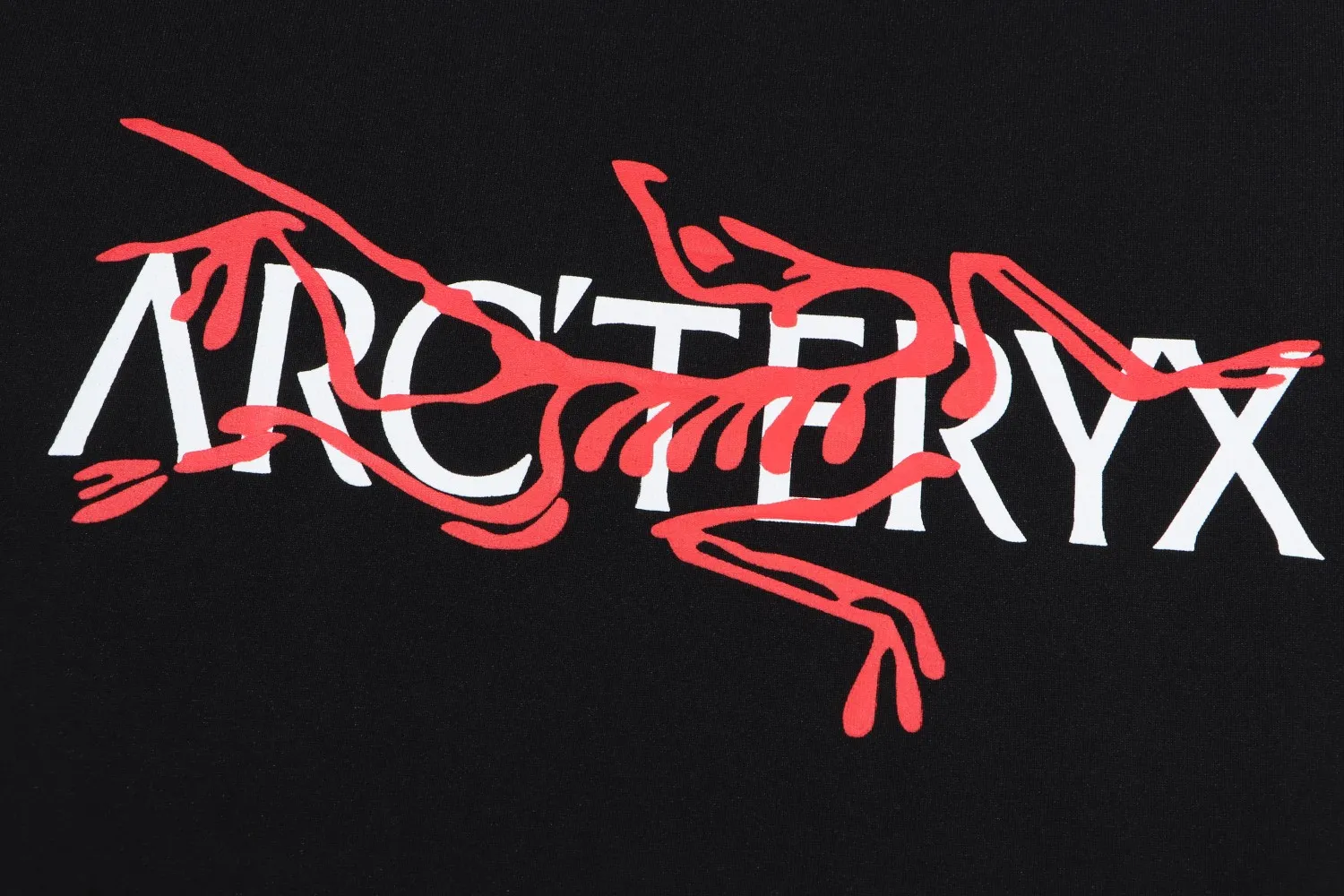 【ARCTERYX  公式旗艦店】 アークテリクス  Tシャツ ご好評に付き再入荷！250217