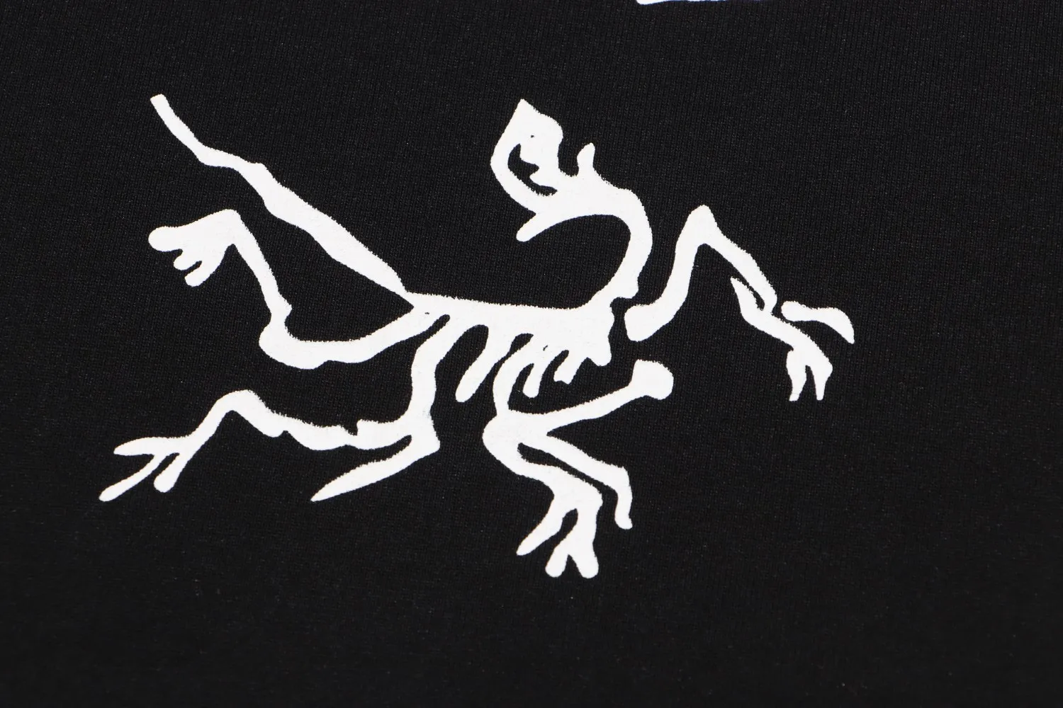 【ARCTERYX  公式旗艦店】 アークテリクス  Tシャツ ご好評に付き再入荷！250217