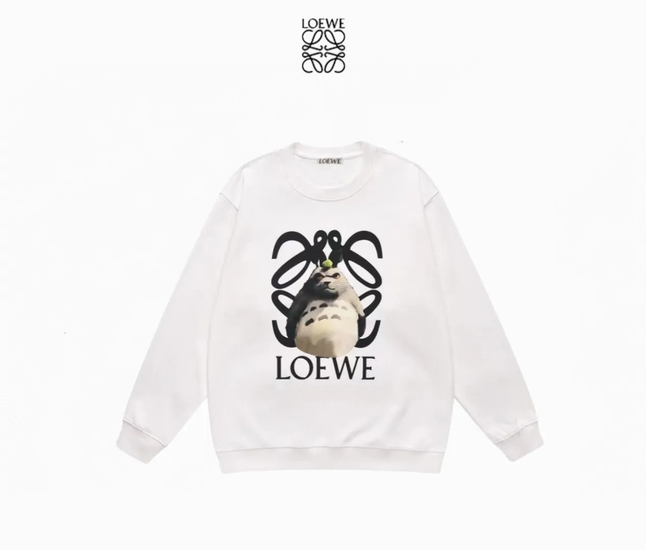 【LOEWE 公式旗艦店】ロエベ  丸首の衛衣  スウェットご好評に付き再入荷 240817