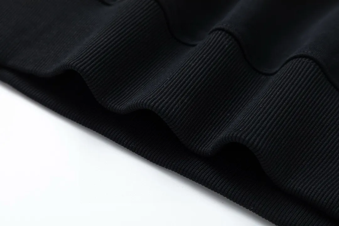 【ARCTERYX 公式旗艦店】アークテリクス  丸首の衛衣  スウェット ご好評に付き再入荷！241210