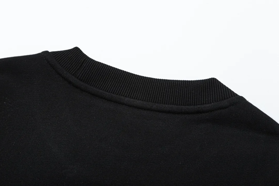 【ARCTERYX 公式旗艦店】アークテリクス  丸首の衛衣  スウェット ご好評に付き再入荷！241210