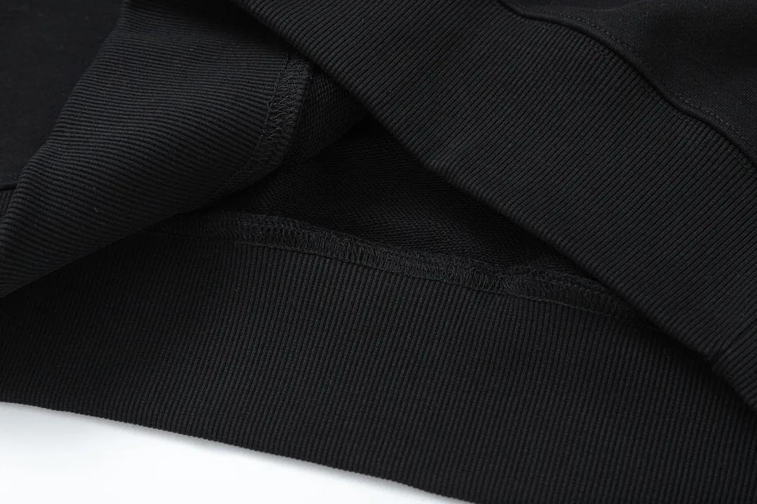 【ARCTERYX 公式旗艦店】アークテリクス  丸首の衛衣  スウェット ご好評に付き再入荷！241210