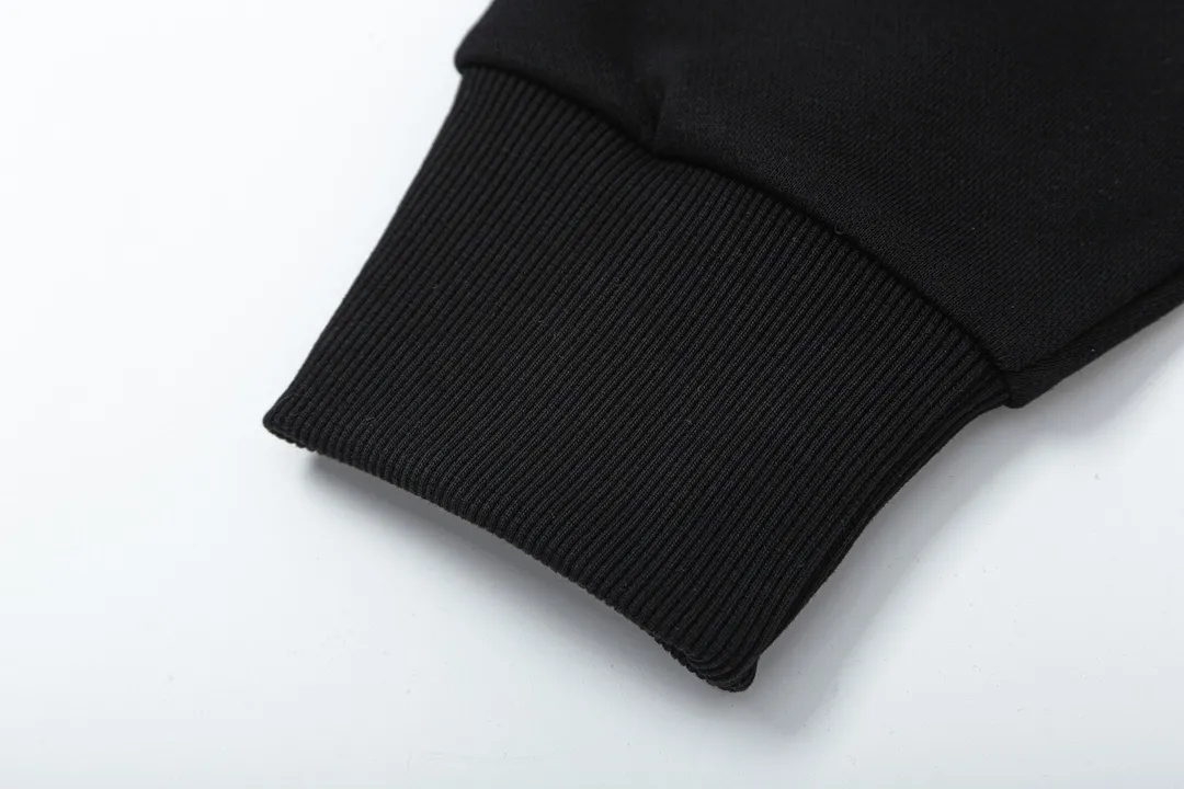 【ARCTERYX 公式旗艦店】アークテリクス  丸首の衛衣  スウェット ご好評に付き再入荷！241210