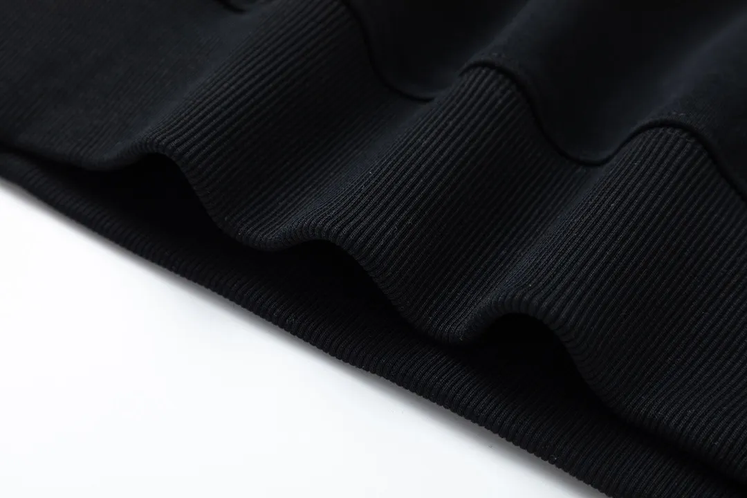 【ARCTERYX 公式旗艦店】アークテリクス  丸首の衛衣  スウェット ご好評に付き再入荷！241210