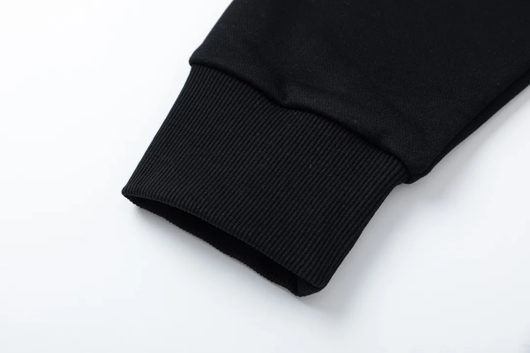 【ARCTERYX 公式旗艦店】アークテリクス  丸首の衛衣  スウェット ご好評に付き再入荷！241210