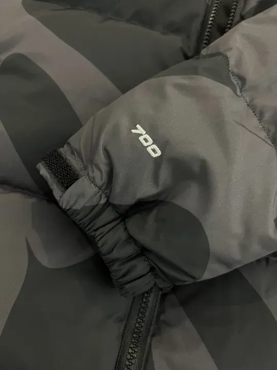 【The North Face】ザノースフェイス【全国送料無料】【即日出荷】数量限定発売 ダウンジャケット 241017