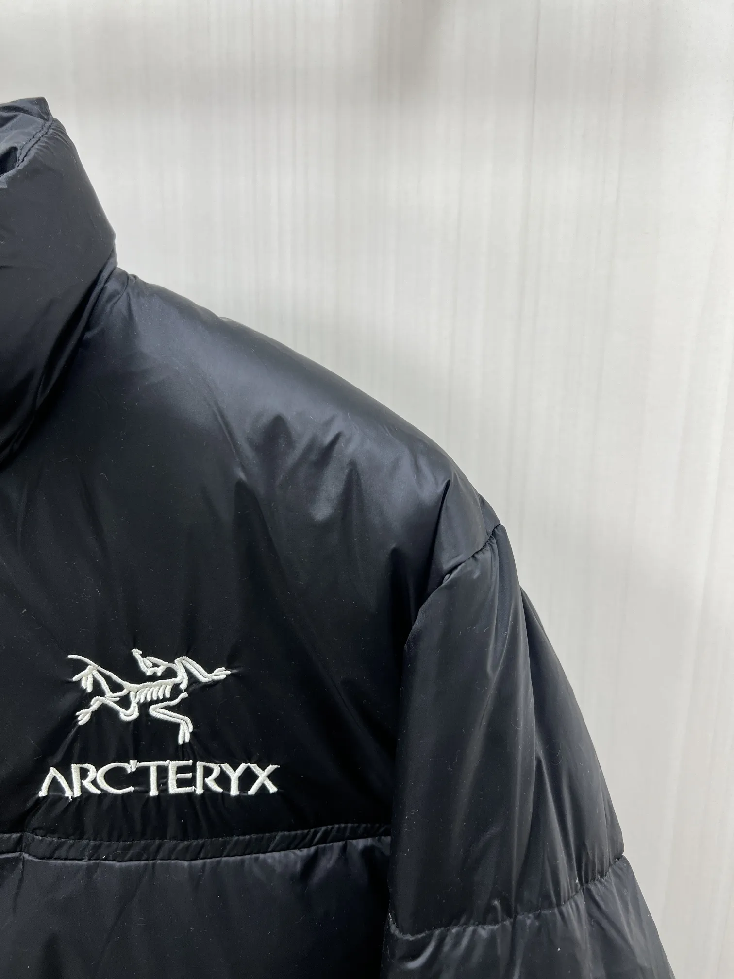 【ARCTERYX   公式旗艦店】アークテリクス   ダウンジャケット好評に付き再入荷！ 241207