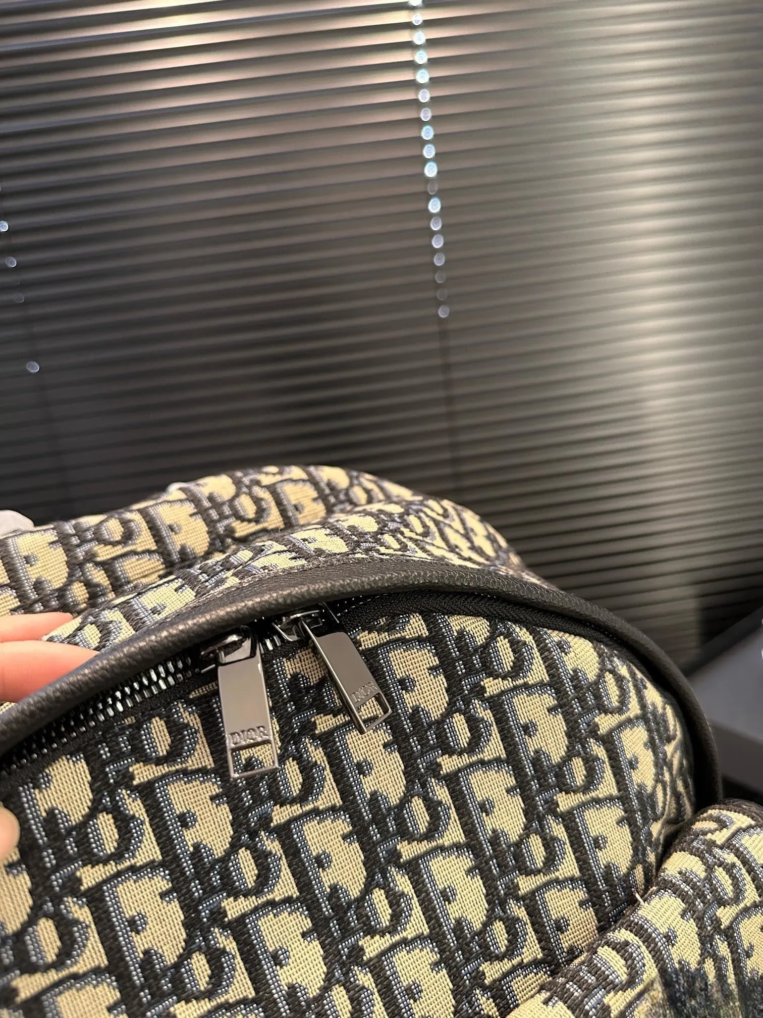 【DIOR公式旗艦店】ディオール リュックサック 当日出荷 好評に付き再入荷！31*40CM 240720